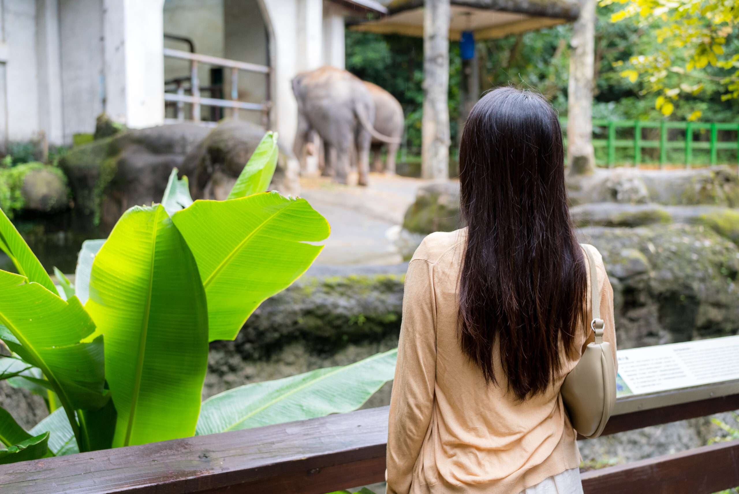 Berlin Hayvanat Bahçesi (Zoologischer Garten Berlin) 3 Berlin Hayvanat Bahçesi